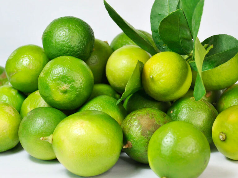 Sklep ze zdrową żywnością Radom